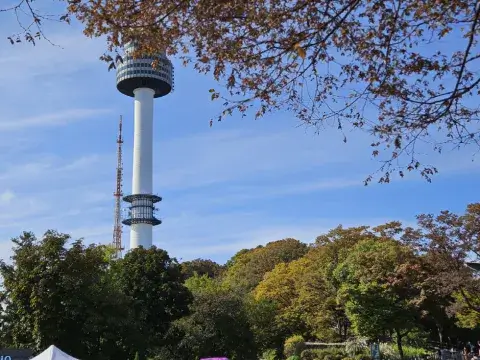 남산케이블카-단풍명소-남산타워가는법