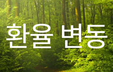 환율 변동 이미지