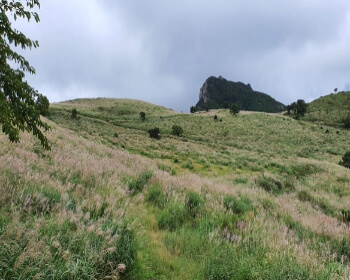 황매산 오토캠핑장_2