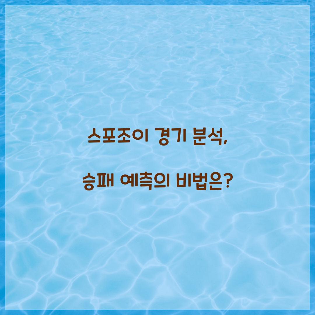 스포조이 경기 분석