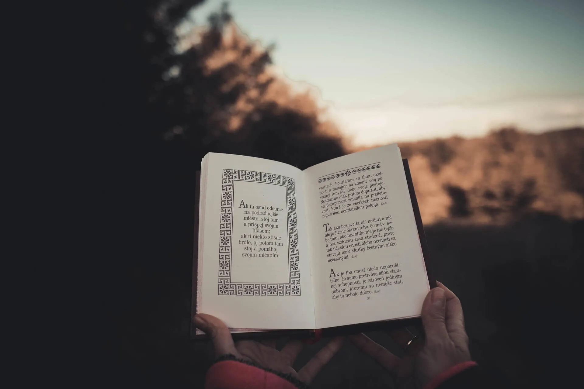 철학과 심리학으로 분석하는 인간의 감정 왜곡