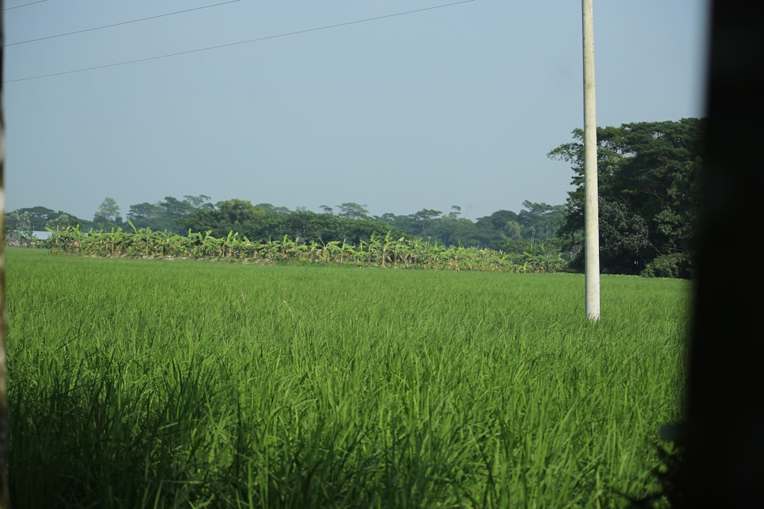 Agricultural zone