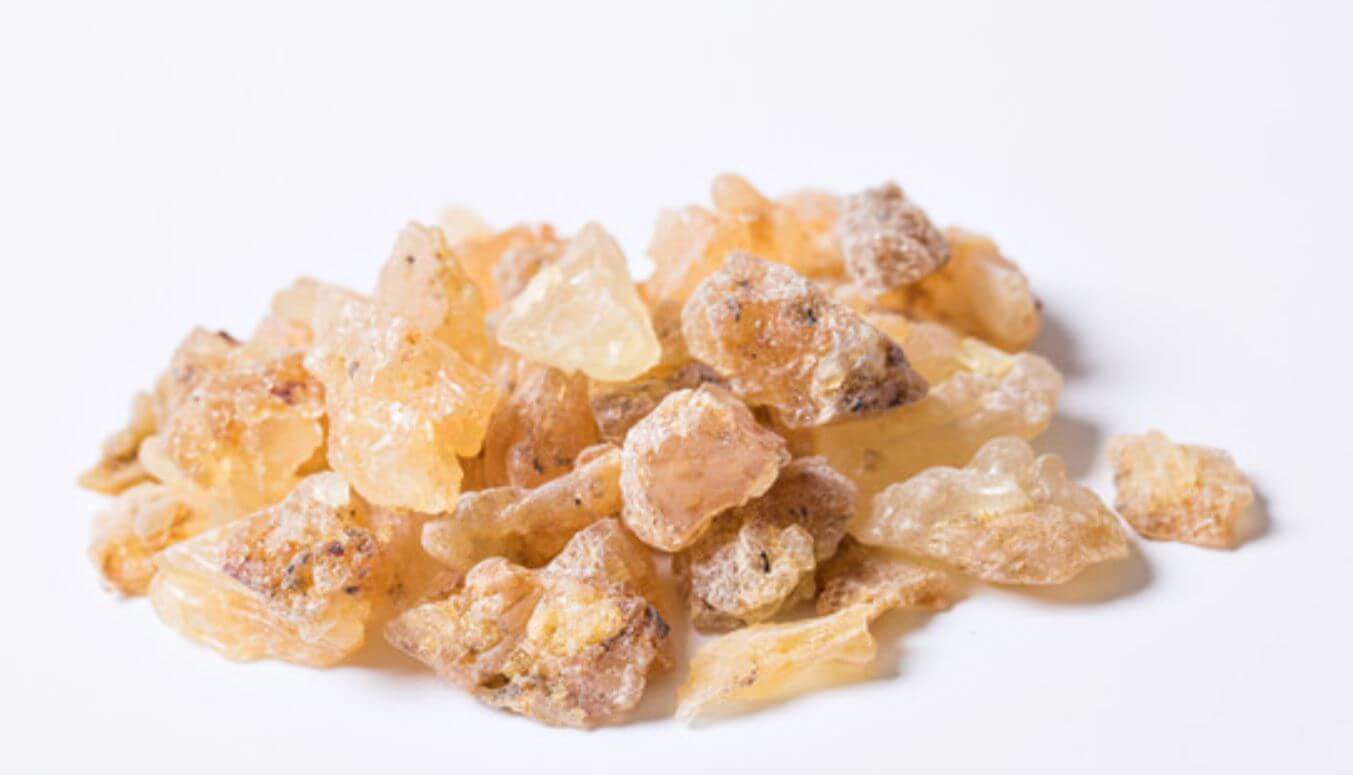 보스웰리아 사진