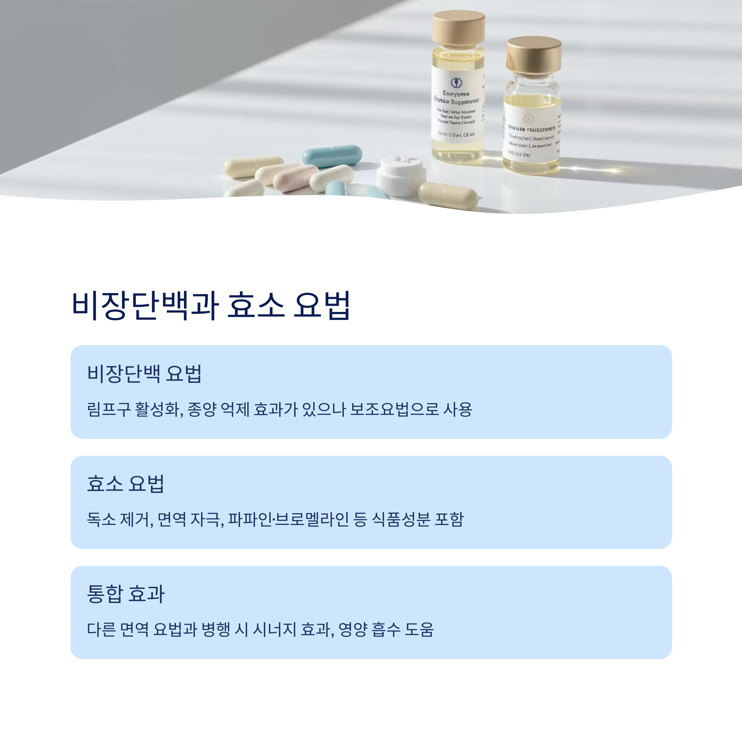 비장단백과 효소