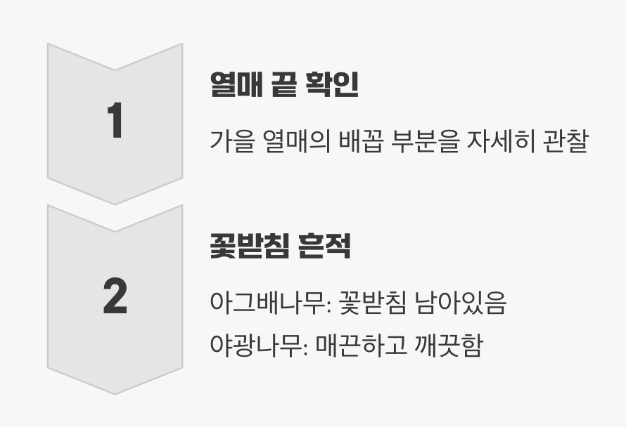 아그배나무와의 쉬운 구별법