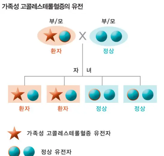 가족성 고콜레스테롤 혈증