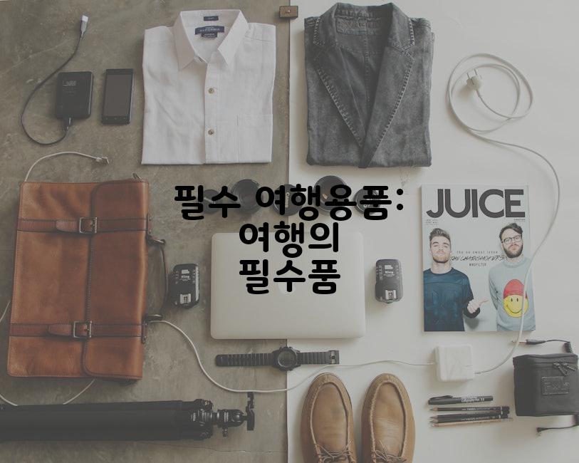 필수 여행용품: 여행의 필수품