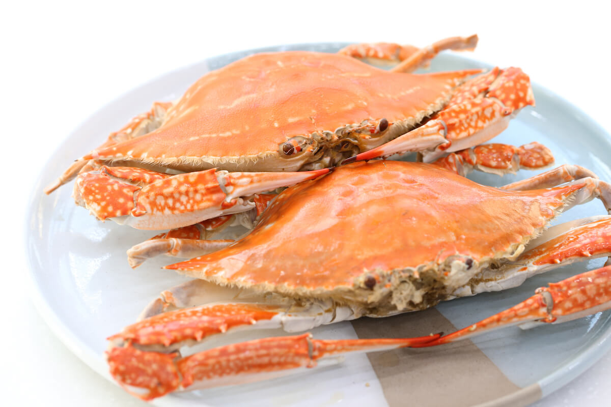 극한직업 진도 꽃게 택배 주문하기