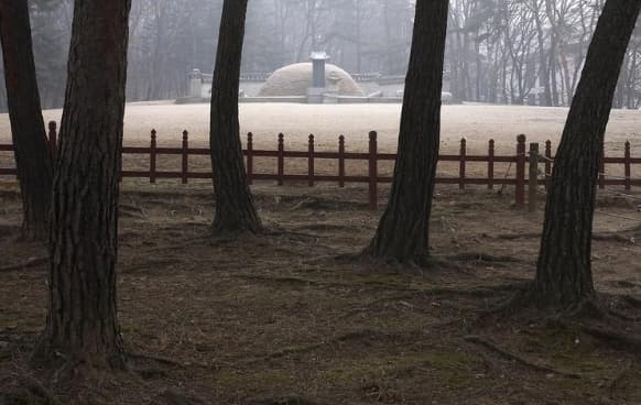 안개 자욱한 소나무 숲 사이로 신비롭게 보이는 유네스코 세계문화유산 고양 서오릉의 왕릉 풍경. 조선 왕조의 고요하고 장엄한 분위기를 자아내는 전경. 최근 숙종의 후궁인 장희빈의 대빈묘도 이곳으로 이장 되었다.