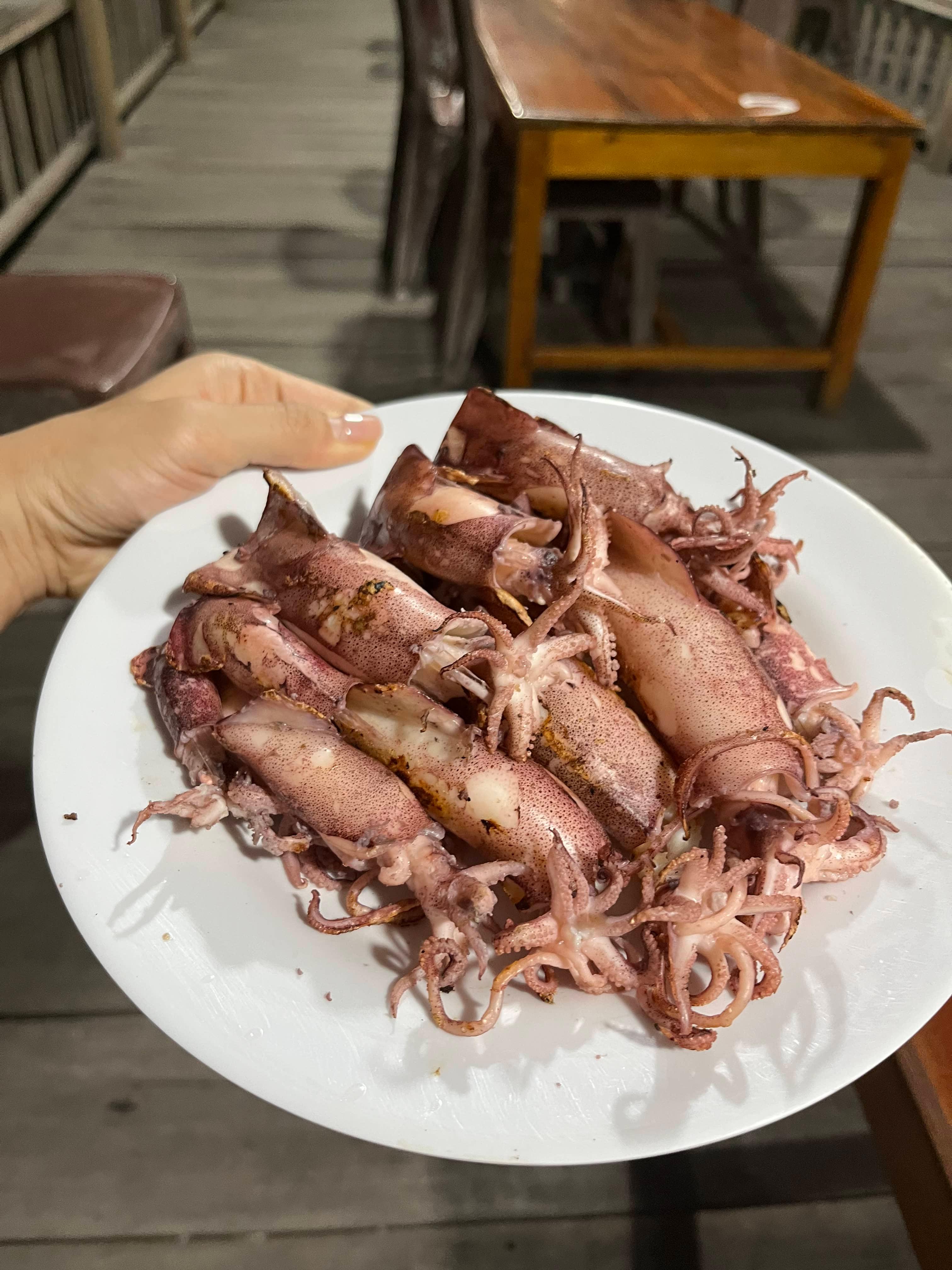 총알오징어