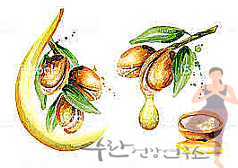 식용 아르간 오일 효능