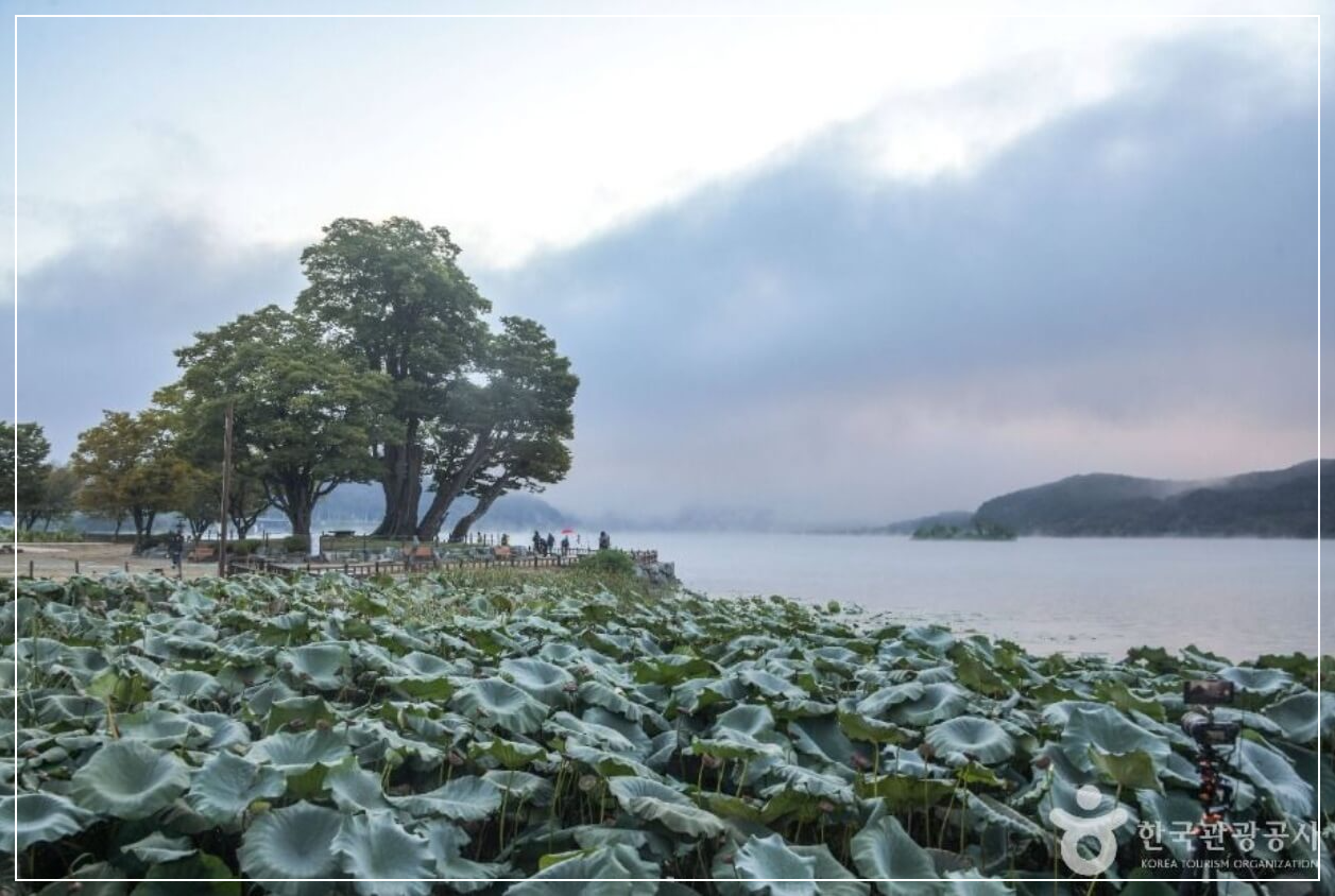 양평 가볼만한곳 베스트10 두물머리