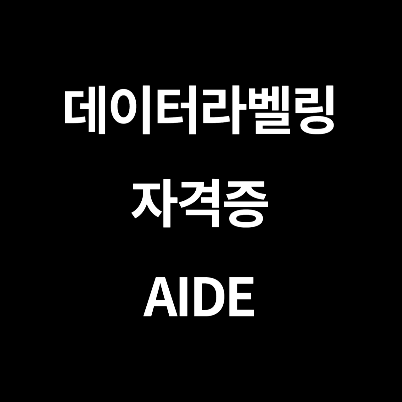 데이터 라벨러 자격증 (AIDE)
