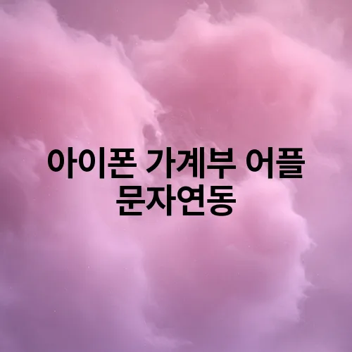 아이폰 가계부 어플 문자연동