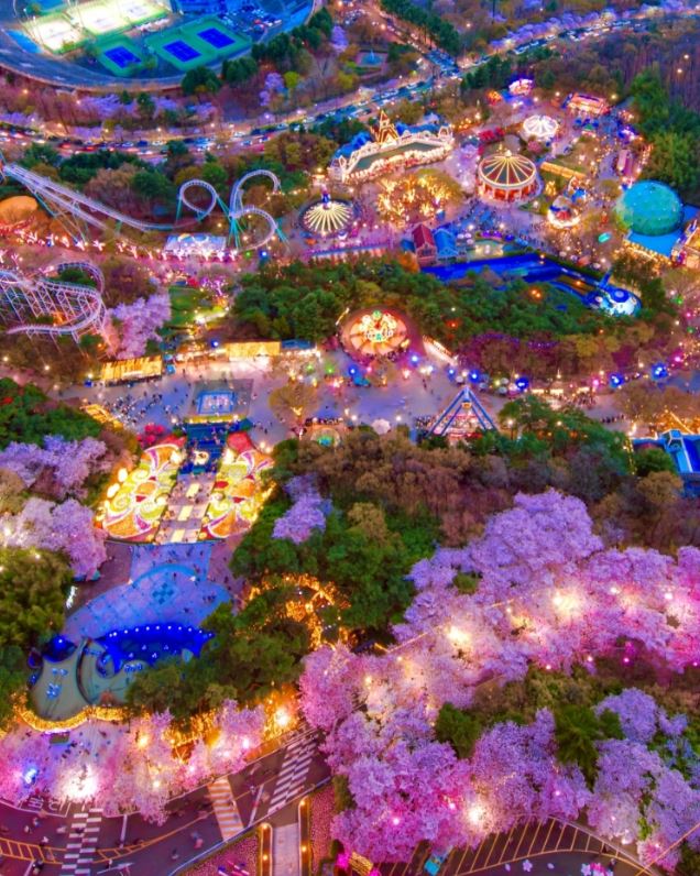 대구 이월드 블라썸 피크닉