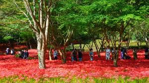 9월 가볼만한 곳 베스트