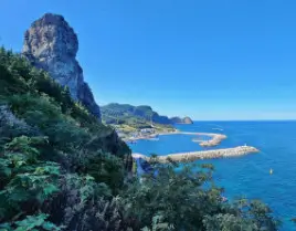 울릉도 독도 가족여행 준비 최적의 시기와 피해야 할 시기