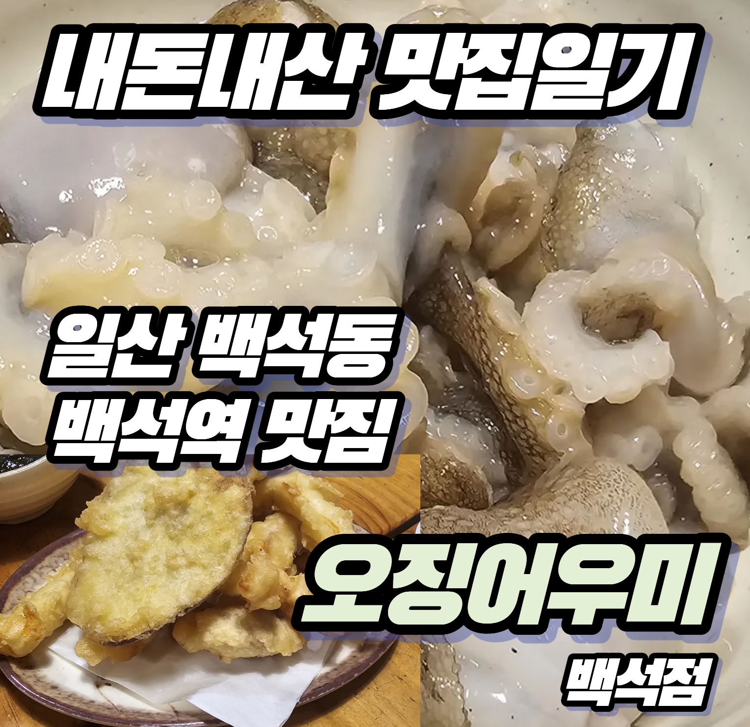 [내돈내산 맛집일기] 일산 백석역 핫플 '오징어우미' 쭈꾸미 샤브샤브 솔직 후기