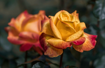 지하철과 버스를 연계한 상세한 이동 경로 2