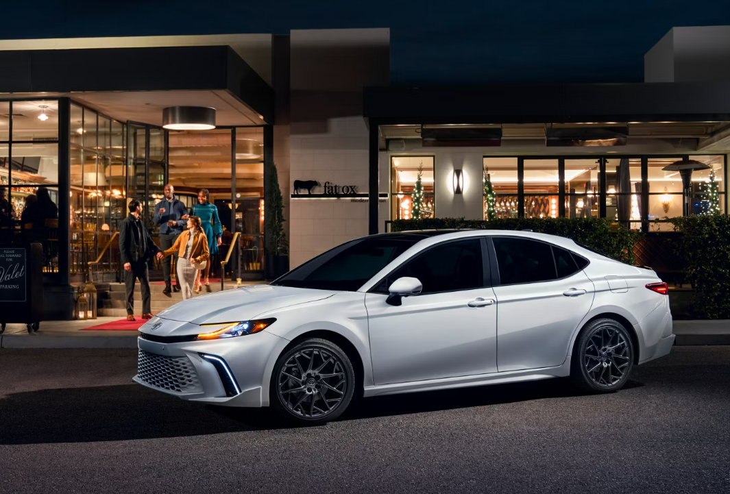 켐리 하이브리드 옆