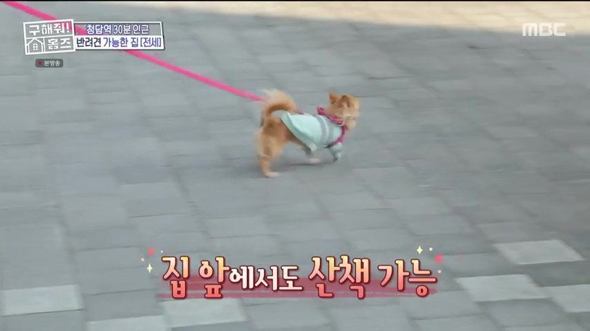 구해줘홈즈 1층집 바이브 동물병원 인접 남양주 다산동 전세 매매 매물 가격 및 구조 인테리어 리모델링 최종선택 강재준 양세찬 소개