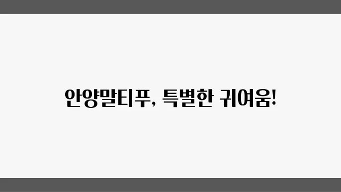 안양말티푸와 즐길 수 있는 라이프스타일