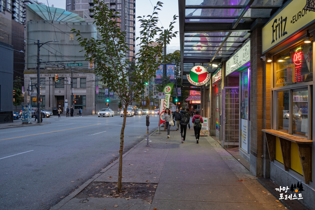 캐나다 벤쿠버 프리츠 위치