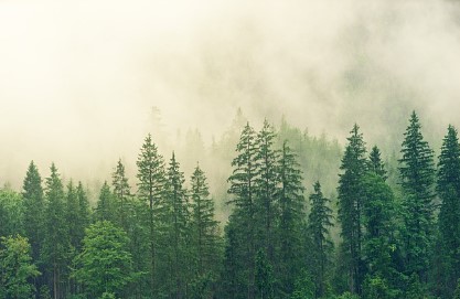 임영웅 광주 콘서트