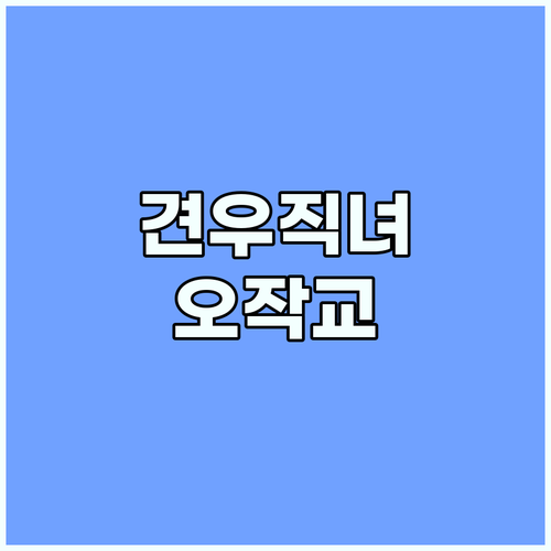 오작교의 기적: 견우와 선녀, 재회의..