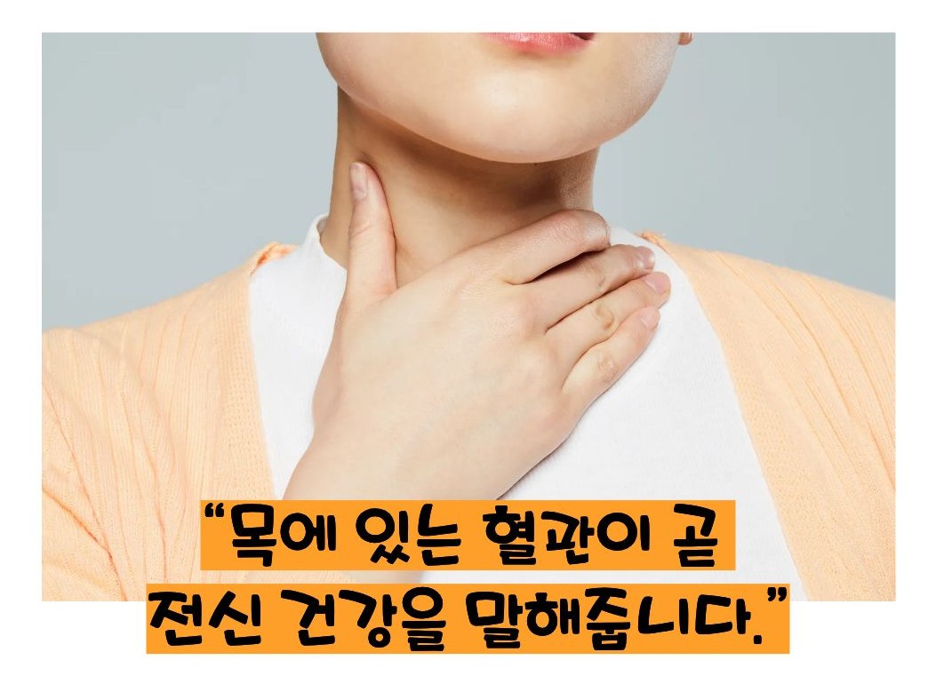 경동맥 초음파 검사로 알수 있는병의 설명
