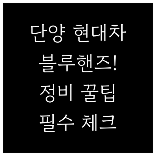 단양군 현대자동차 정비소 찾기 블루핸..