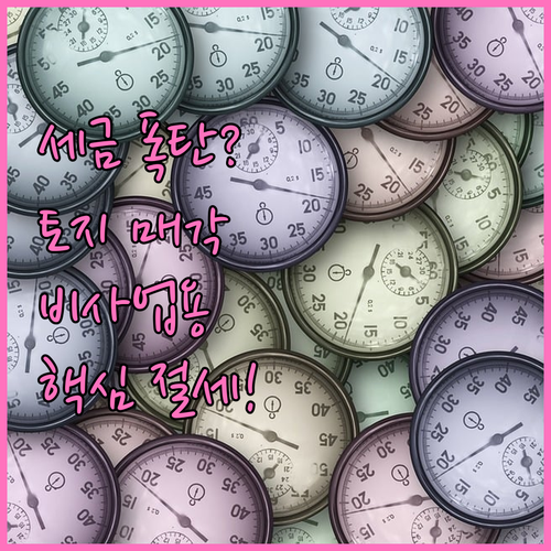 비사업용 토지 피하고 양도소득세 절세..