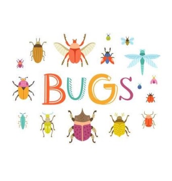 러브버그 출몰시기 및 퇴치방법