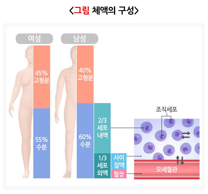 만성탈수