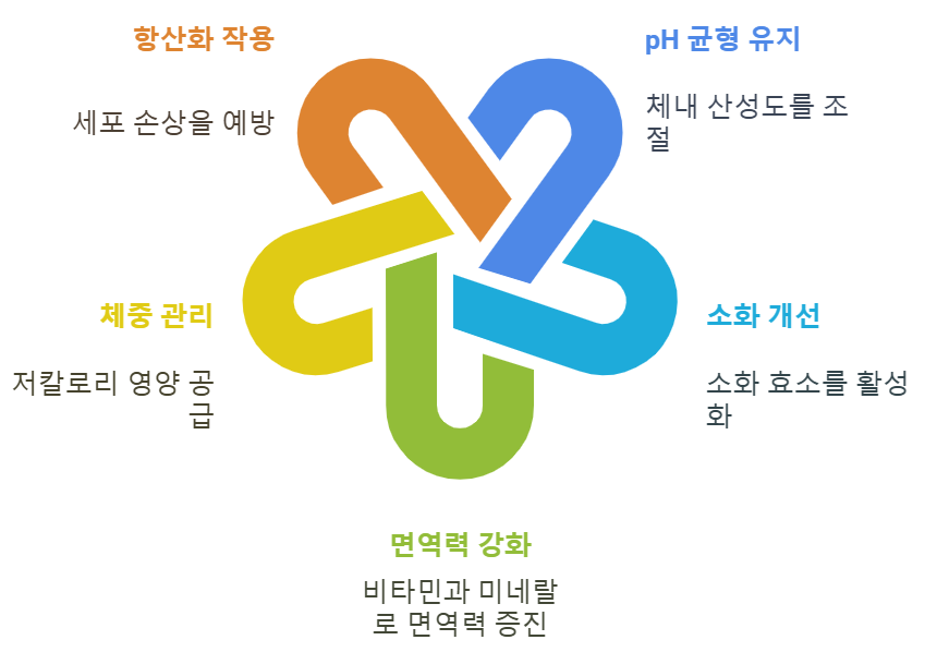 알칼리성 채소 효능