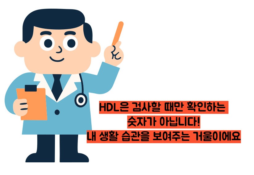 hdl콜레스테롤 정상수치