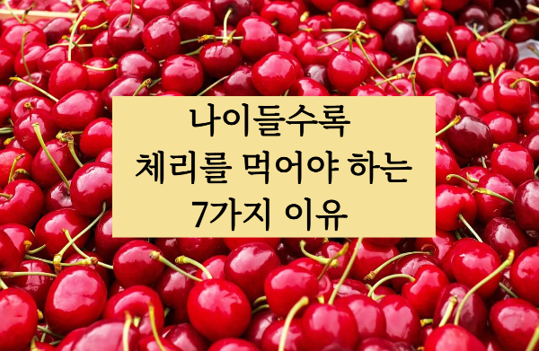 체리 효능
