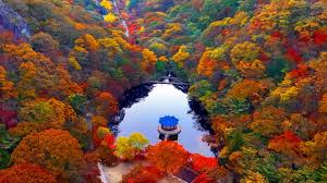 아이와 가을여행