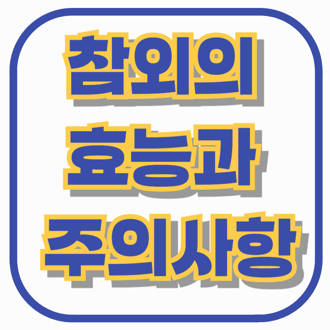 참외의 효능과 주의사항 총정리: 참외 먹으면 좋은 사람 vs 피해야 할 사람, 고르는 법까지
