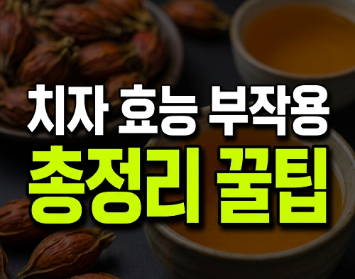 치자 효능과 부작용 총정리｜치자차 끓이는 법부터 치자가루 활용법까지(+효능,열매)