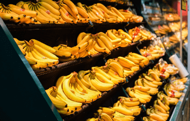 2024 SSG닷컴 리빙 쓱세일