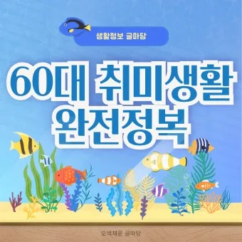 50대 여성 취미생활 추천_9