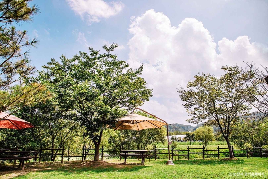 탑정호 수변생태공원