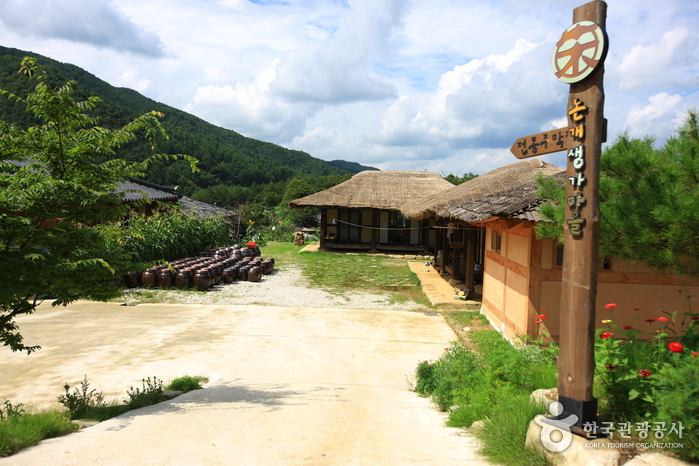 장수 가볼만한곳 베스트10