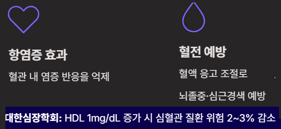 HDL 콜레스테롤이