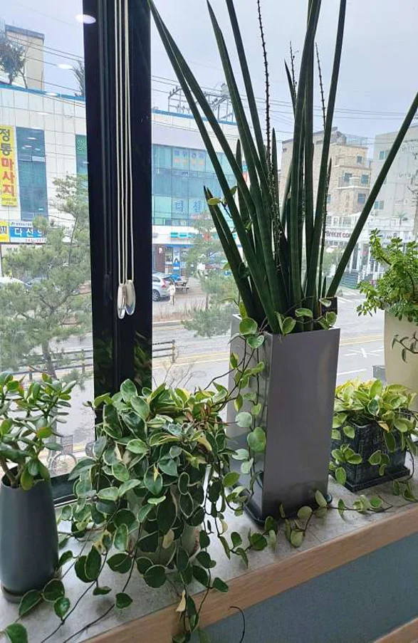 행복지압안마원