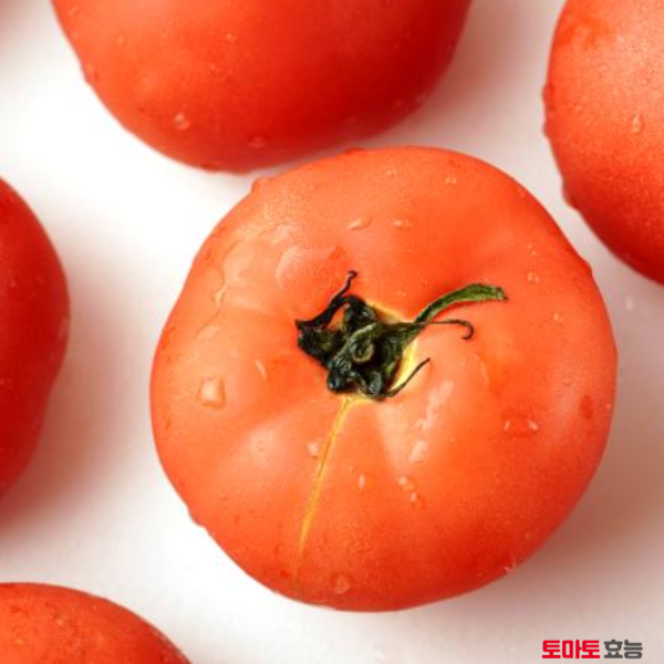 토마토의 놀라운 효능 : 토마토 효능 알고 드세요!