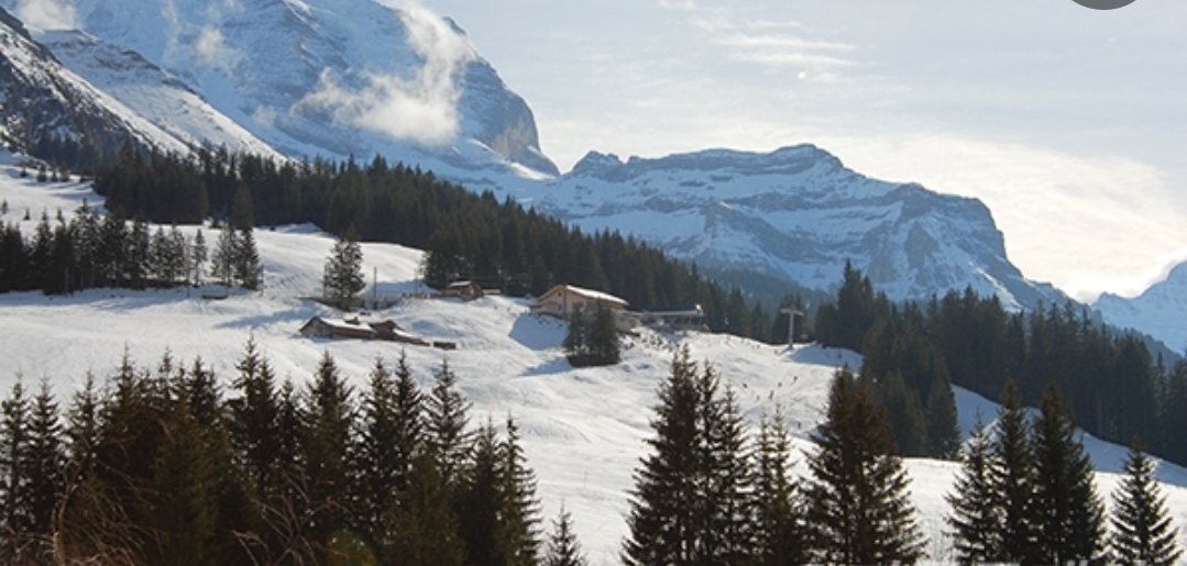 스위스 제네바 알프스 아름다운 설경