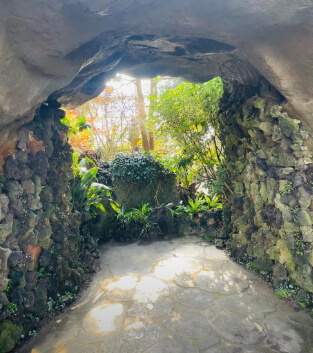 우리꽃식물원 6일간 무료 개방