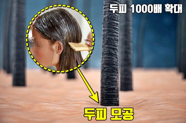 머리숱 많아지는법,린스 실리콘 성분,두피모공,두피관리,헤어 팁줌